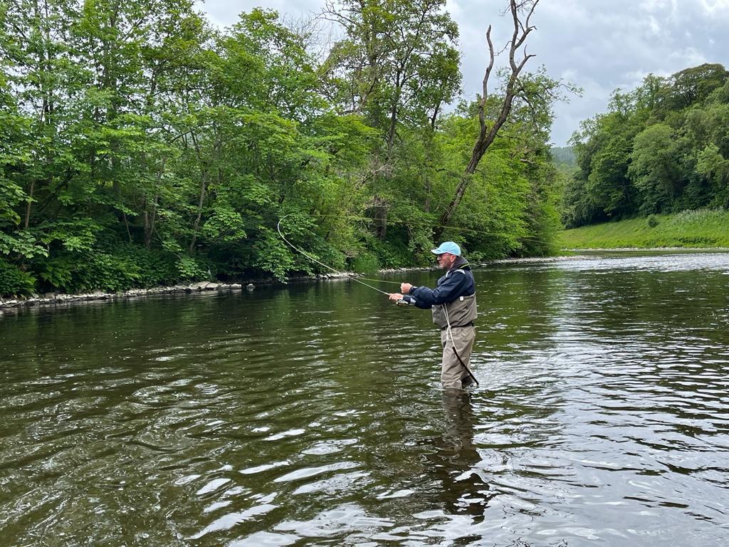 ba111de9-a96a-4b65-b20f-de4d01f50521